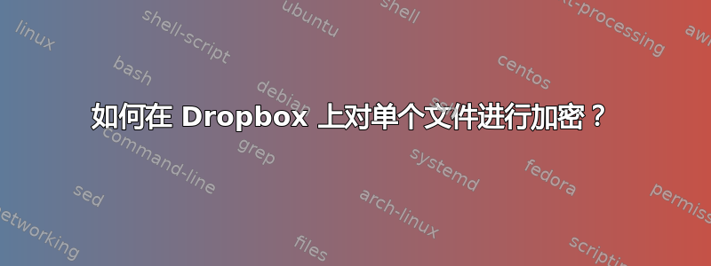 如何在 Dropbox 上对单个文件进行加密？