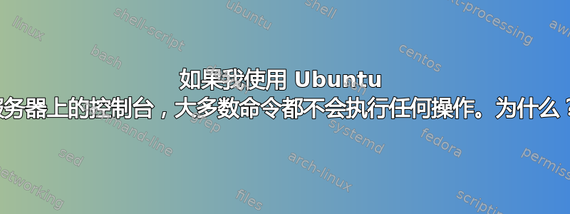 如果我使用 Ubuntu 服务器上的控制台，大多数命令都不会执行任何操作。为什么？