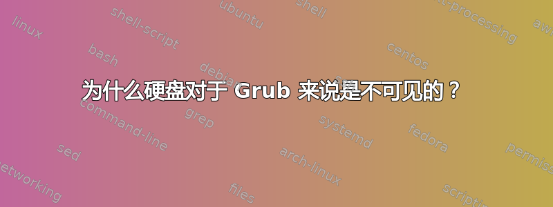 为什么硬盘对于 Grub 来说是不可见的？