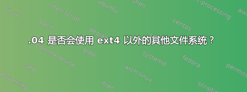 11.04 是否会使用 ext4 以外的其他文件系统？