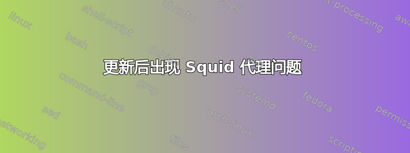 更新后出现 Squid 代理问题