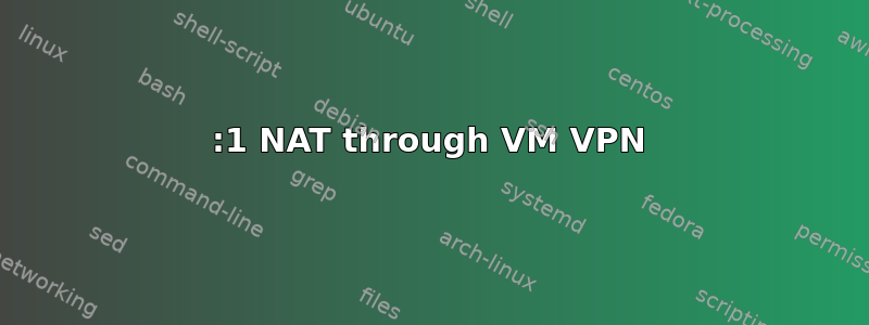 1:1 NAT through VM VPN