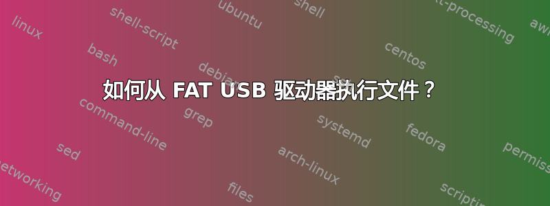 如何从 FAT USB 驱动器执行文件？