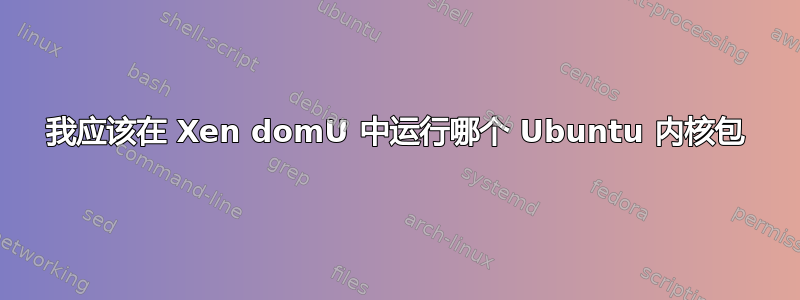 我应该在 Xen domU 中运行哪个 Ubuntu 内核包