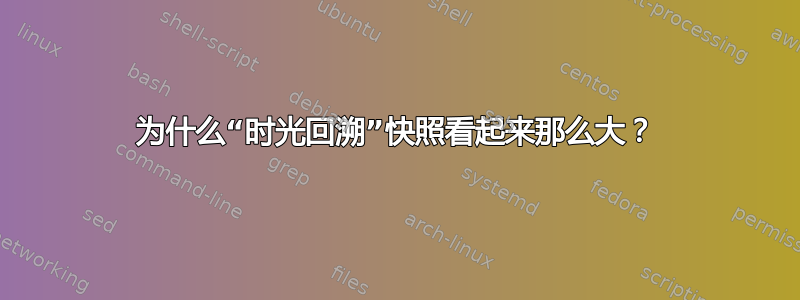 为什么“时光回溯”快照看起来那么大？