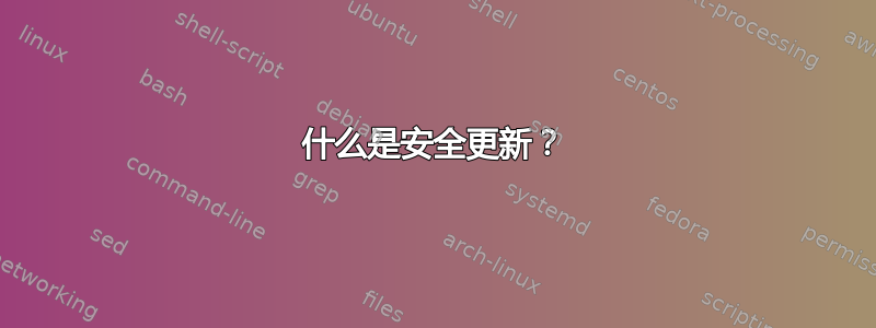 什么是安全更新？