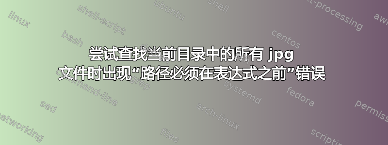 尝试查找当前目录中的所有 jpg 文件时出现“路径必须在表达式之前”错误