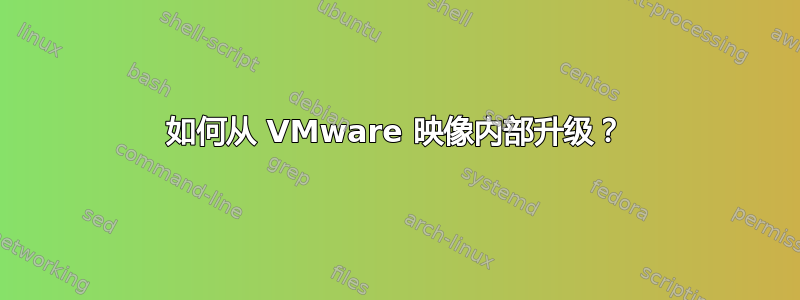 如何从 VMware 映像内部升级？