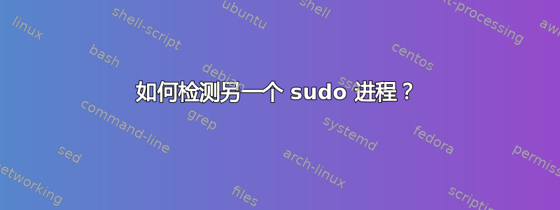 如何检测另一个 sudo 进程？