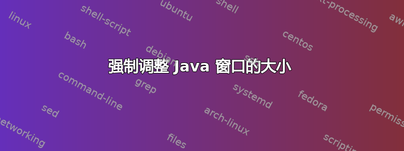 强制调整 Java 窗口的大小