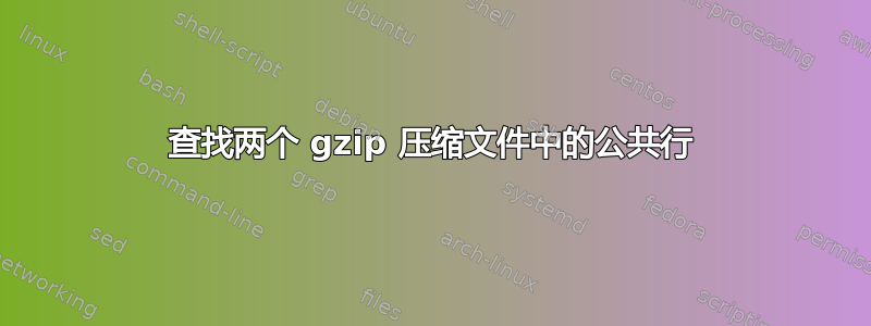 查找两个 gzip 压缩文件中的公共行