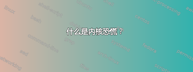 什么是内核恐慌？