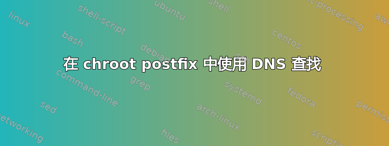 在 chroot postfix 中使用 DNS 查找