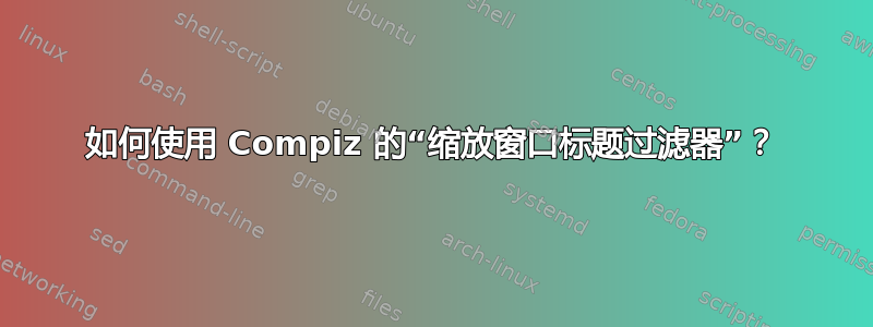 如何使用 Compiz 的“缩放窗口标题过滤器”？