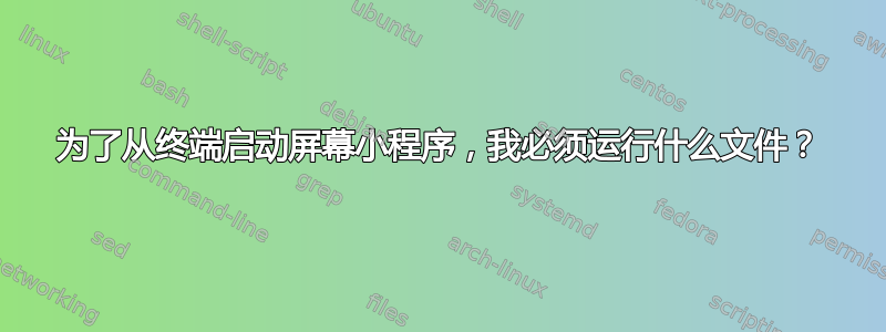 为了从终端启动屏幕小程序，我必须运行什么文件？