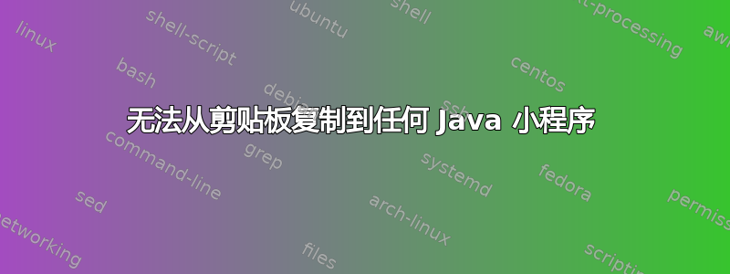 无法从剪贴板复制到任何 Java 小程序