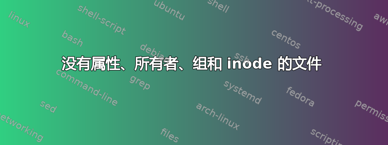 没有属性、所有者、组和 inode 的文件