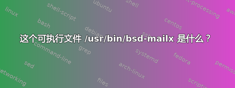 这个可执行文件 /usr/bin/bsd-mailx 是什么？