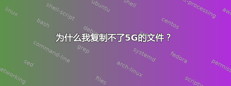 为什么我复制不了5G的文件？