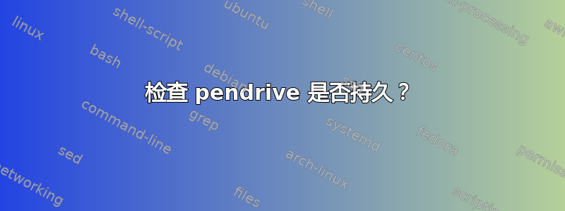 检查 pendrive 是否持久？