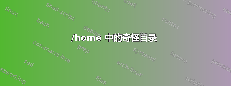 /home 中的奇怪目录