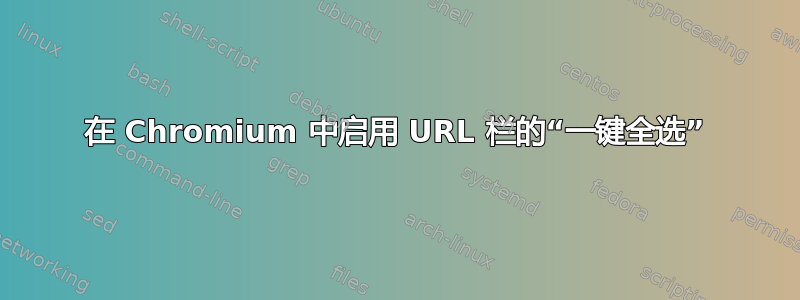 在 Chromium 中启用 URL 栏的“一键全选”