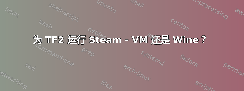 为 TF2 运行 Steam - VM 还是 Wine？