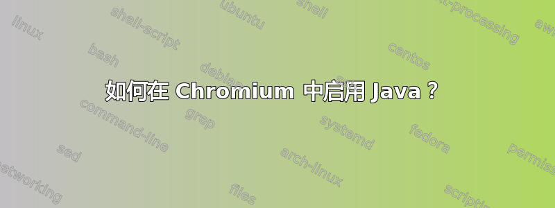 如何在 Chromium 中启用 Java？