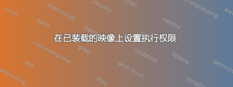 在已装载的映像上设置执行权限