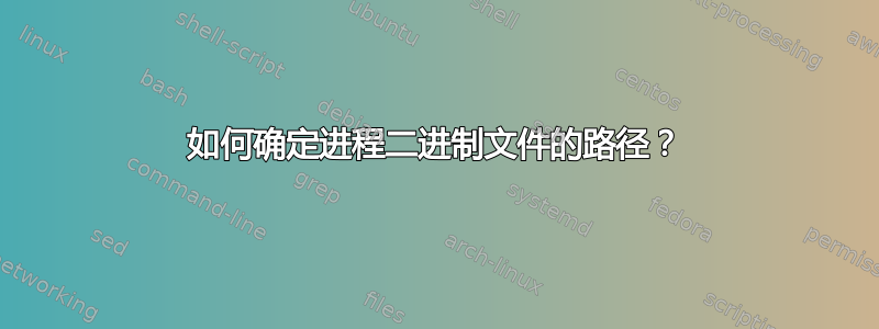 如何确定进程二进制文件的路径？