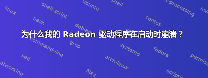 为什么我的 Radeon 驱动程序在启动时崩溃？