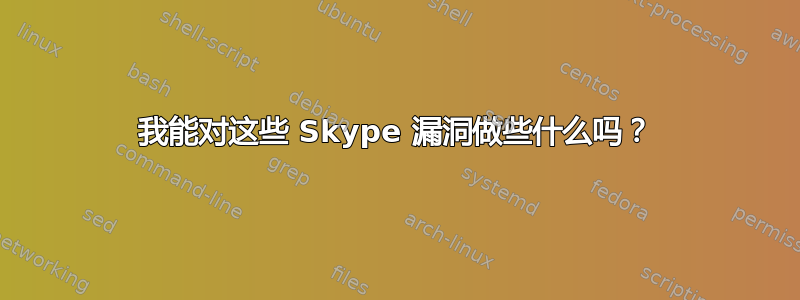 我能对这些 Skype 漏洞做些什么吗？