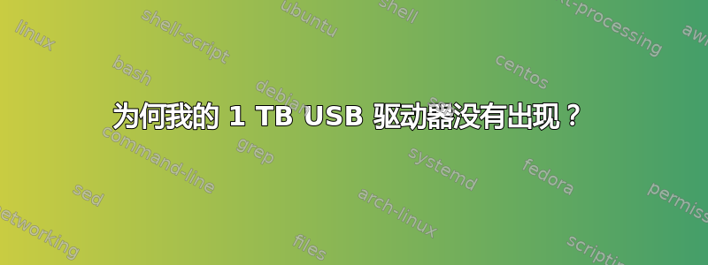 为何我的 1 TB USB 驱动器没有出现？