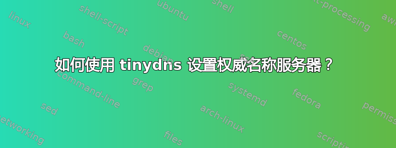 如何使用 tinydns 设置权威名称服务器？