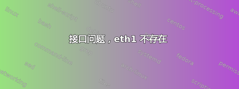 接口问题，eth1 不存在