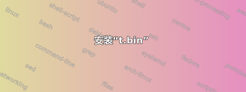 安装“t.bin”