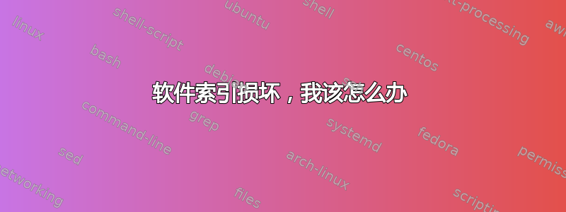 软件索引损坏，我该怎么办