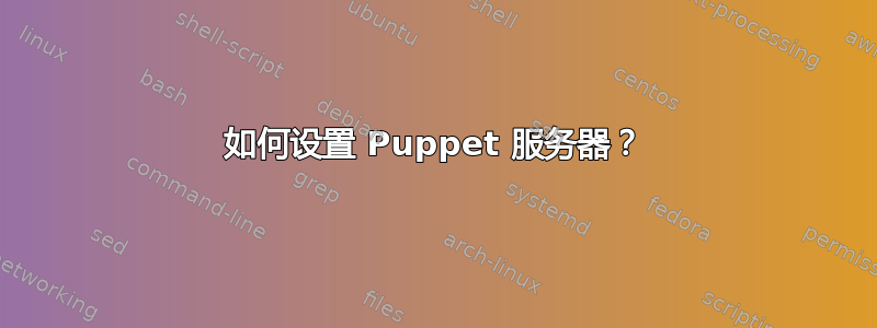 如何设置 Puppet 服务器？