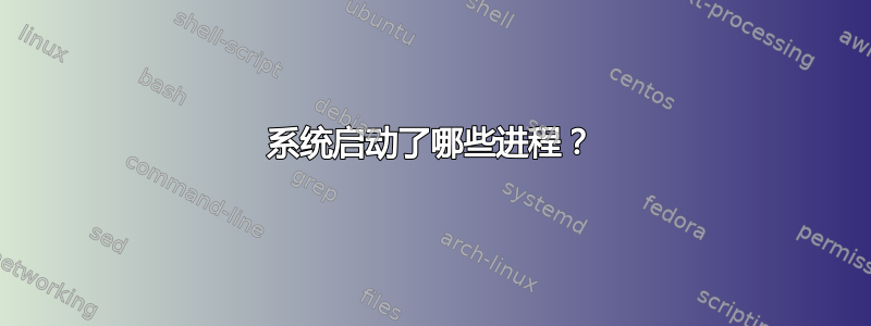 系统启动了哪些进程？