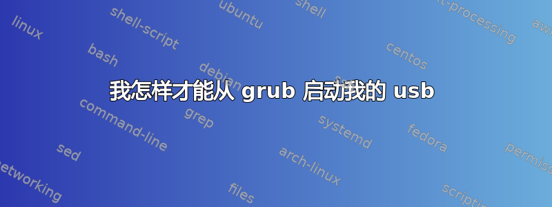 我怎样才能从 grub 启动我的 usb