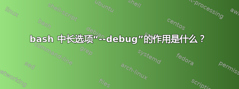 bash 中长选项“--debug”的作用是什么？