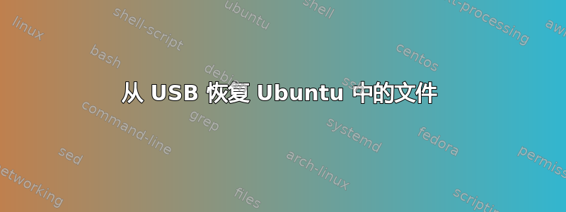 从 USB 恢复 Ubuntu 中的文件