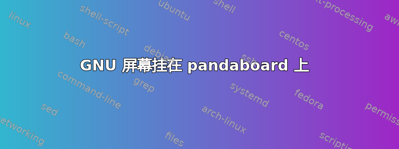 GNU 屏幕挂在 pandaboard 上 