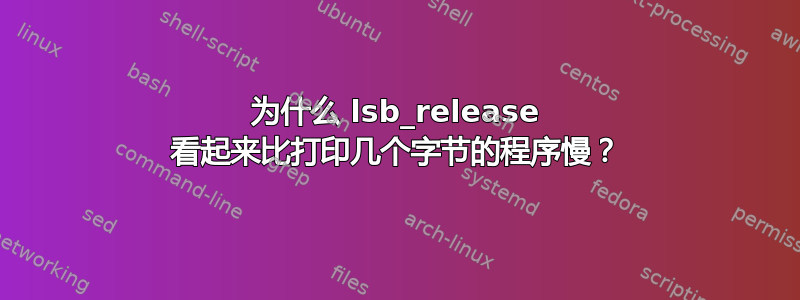 为什么 lsb_release 看起来比打印几个字节的程序慢？