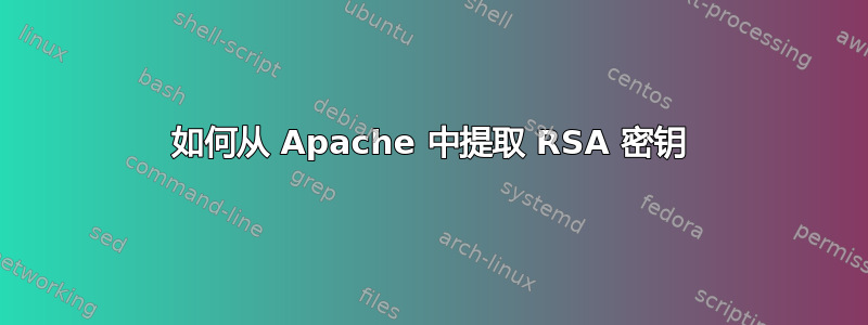 如何从 Apache 中提取 RSA 密钥