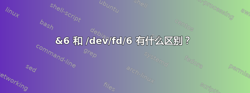 &6 和 /dev/fd/6 有什么区别？