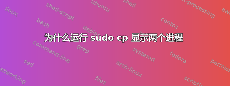 为什么运行 sudo cp 显示两个进程