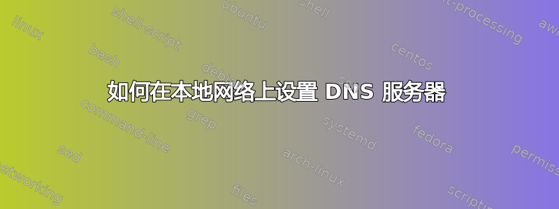 如何在本地网络上设置 DNS 服务器