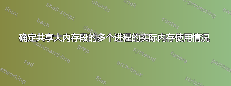 确定共享大内存段的多个进程的实际内存使用情况