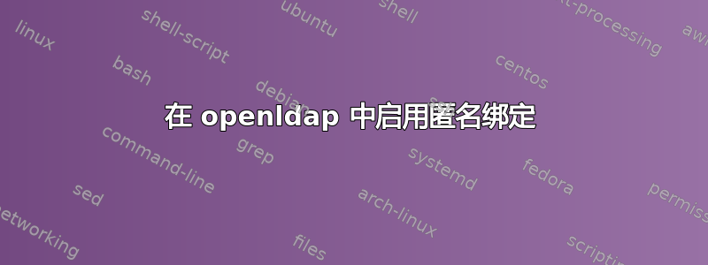 在 openldap 中启用匿名绑定